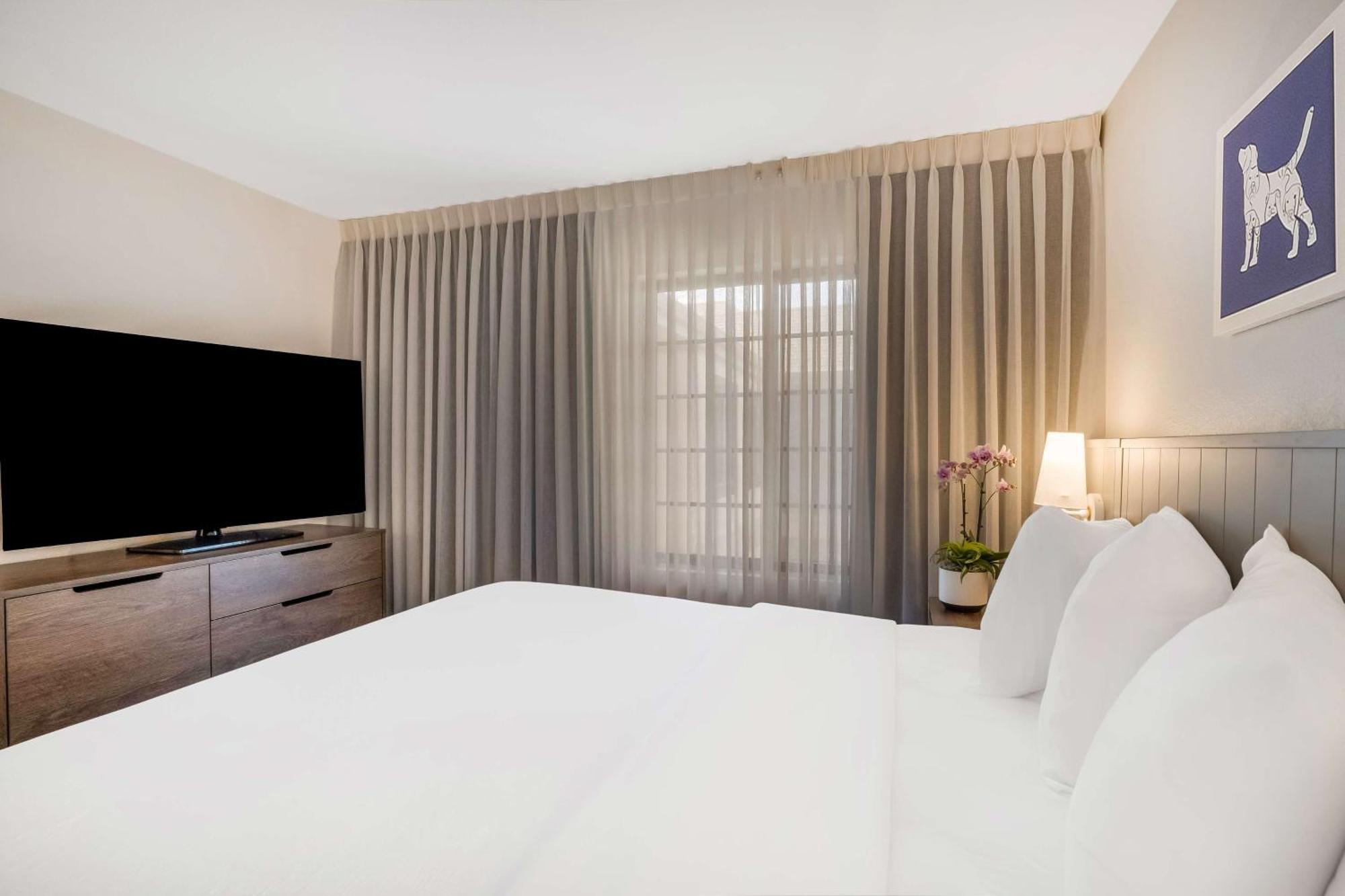 Sonesta Es Suites San Jose - Airport Eksteriør billede